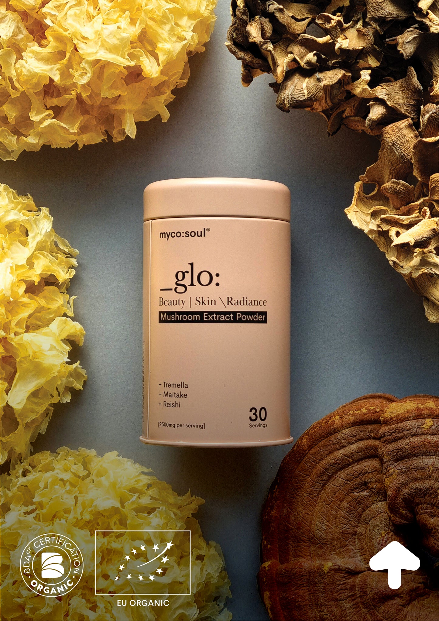 _glo: Beauty Fuel - Organic Mushroom Extract Powder