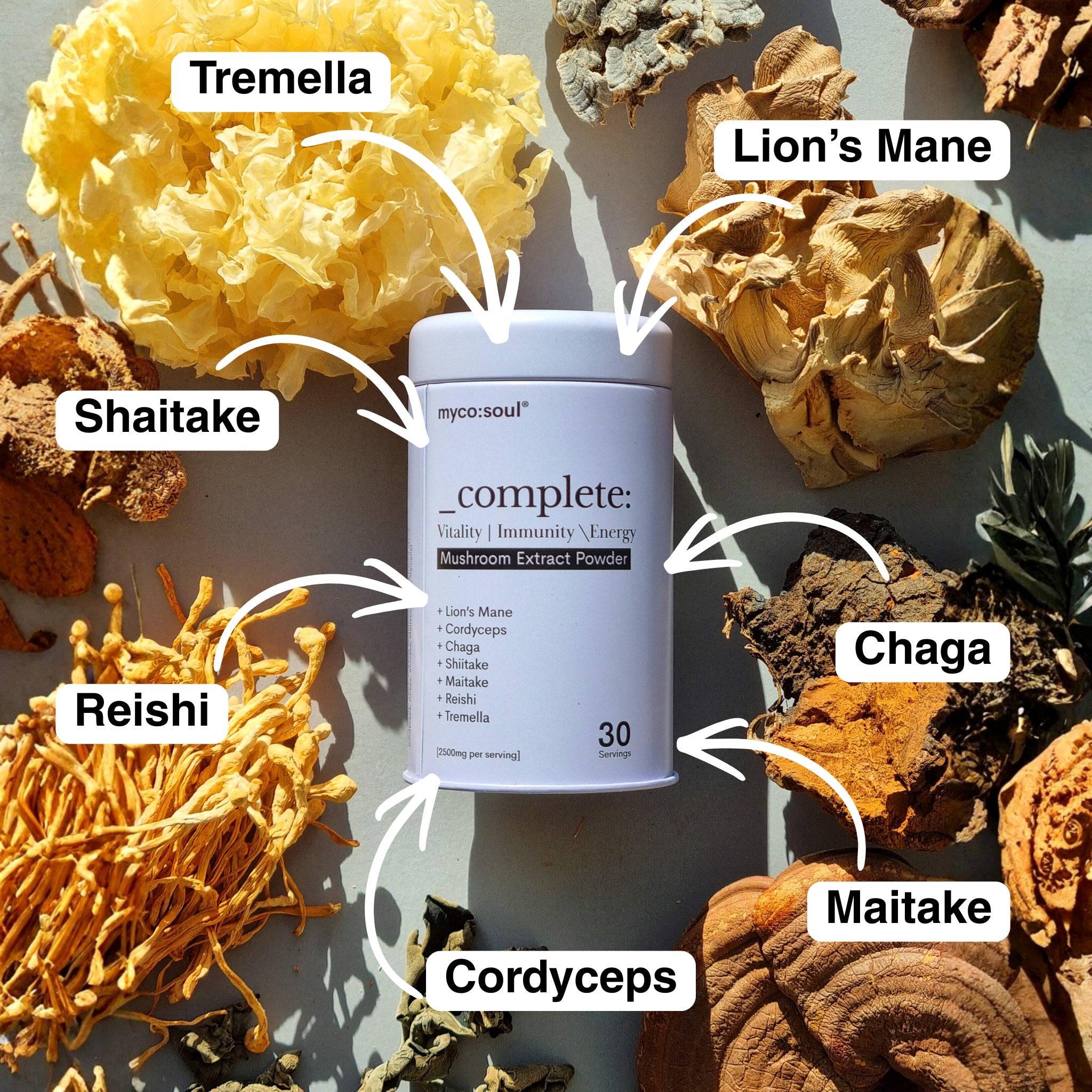 _complete: 7 Mushroom Extract Blend