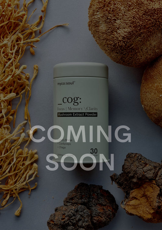 _cog: Brain Fuel | Premium Organic Mushroom Supplement for Enhanced Cognition