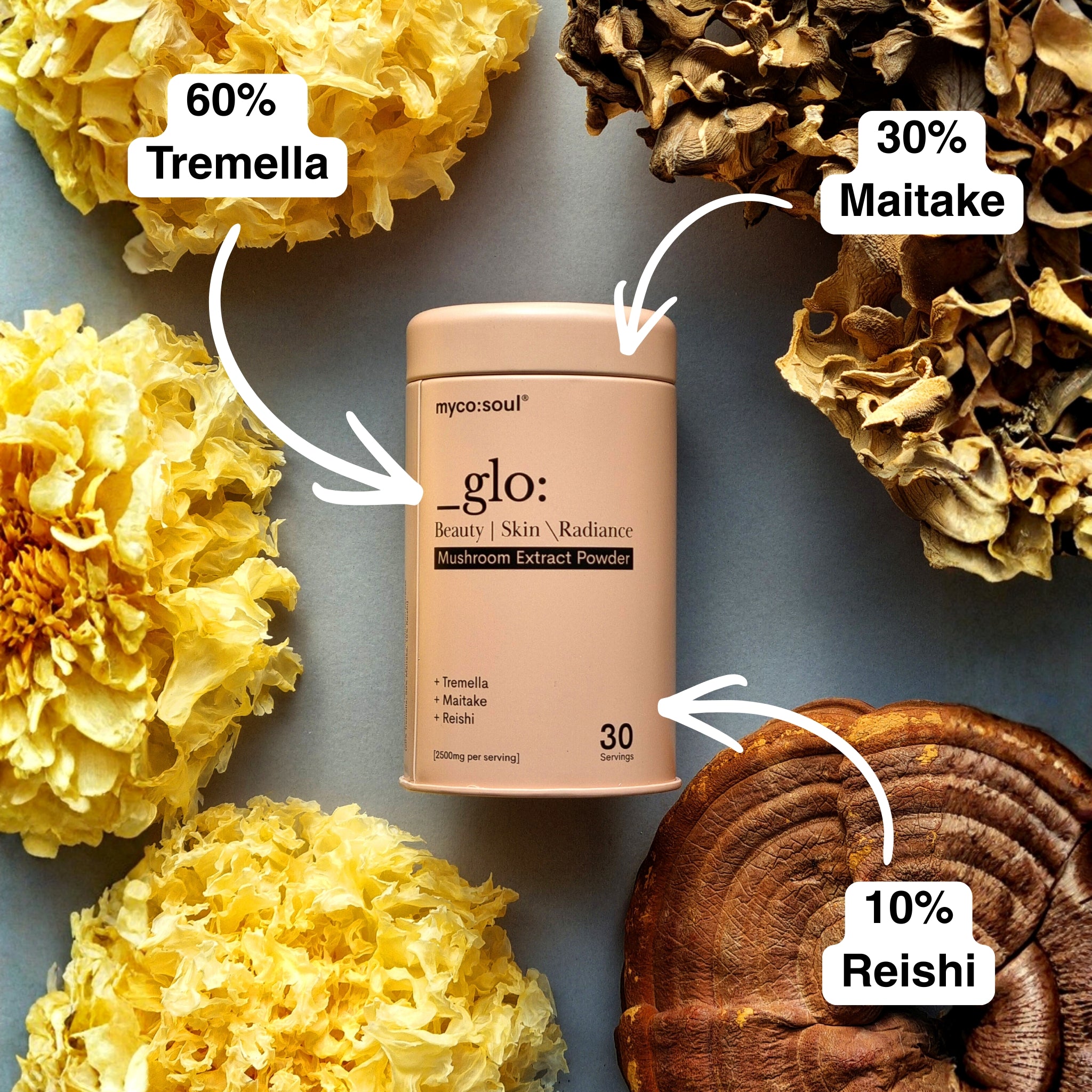 _glo: 3 Mushroom Extract Blend