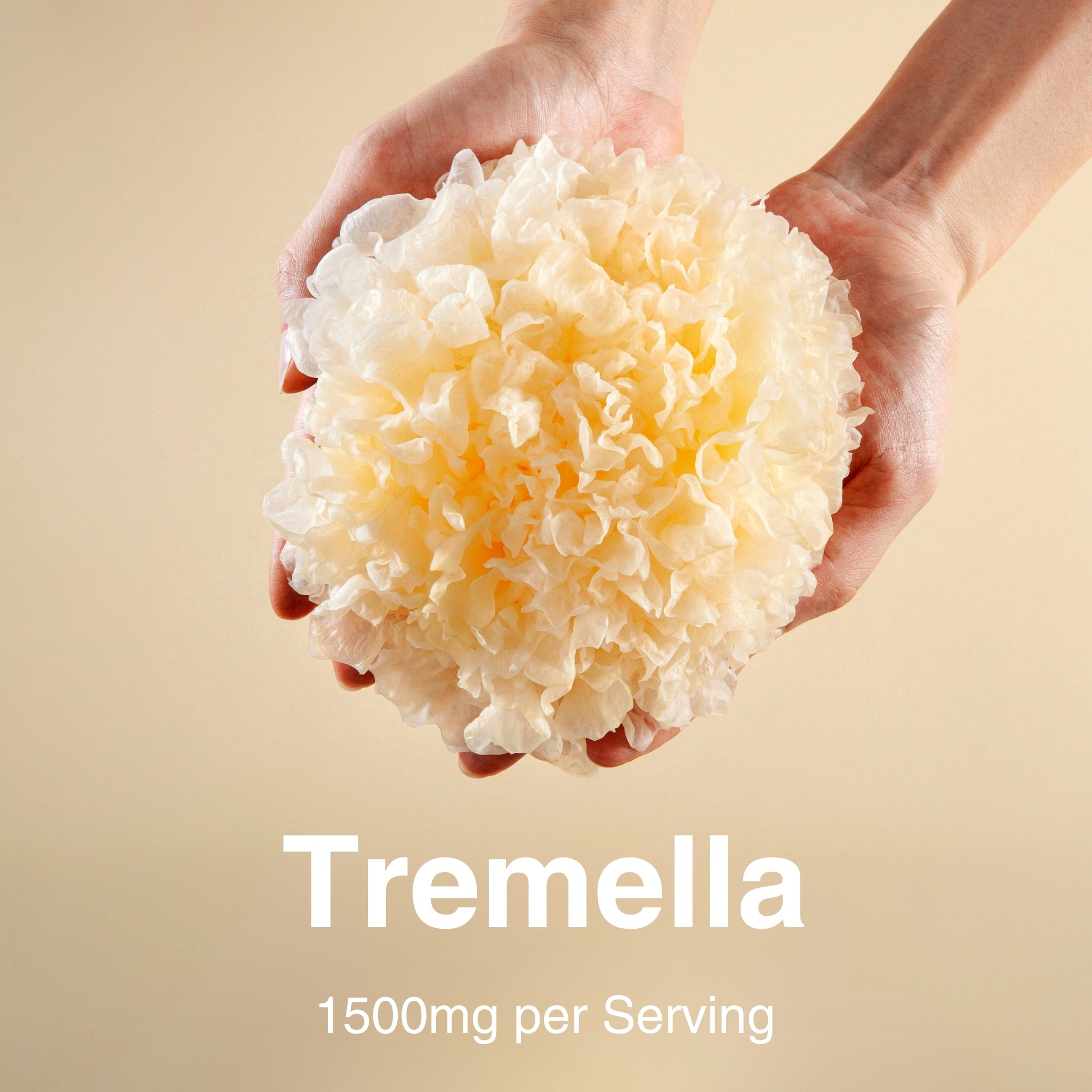 _glo: 3 Mushroom Extract Blend