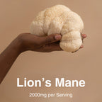 _cog: 3 Mushroom Extract Blend