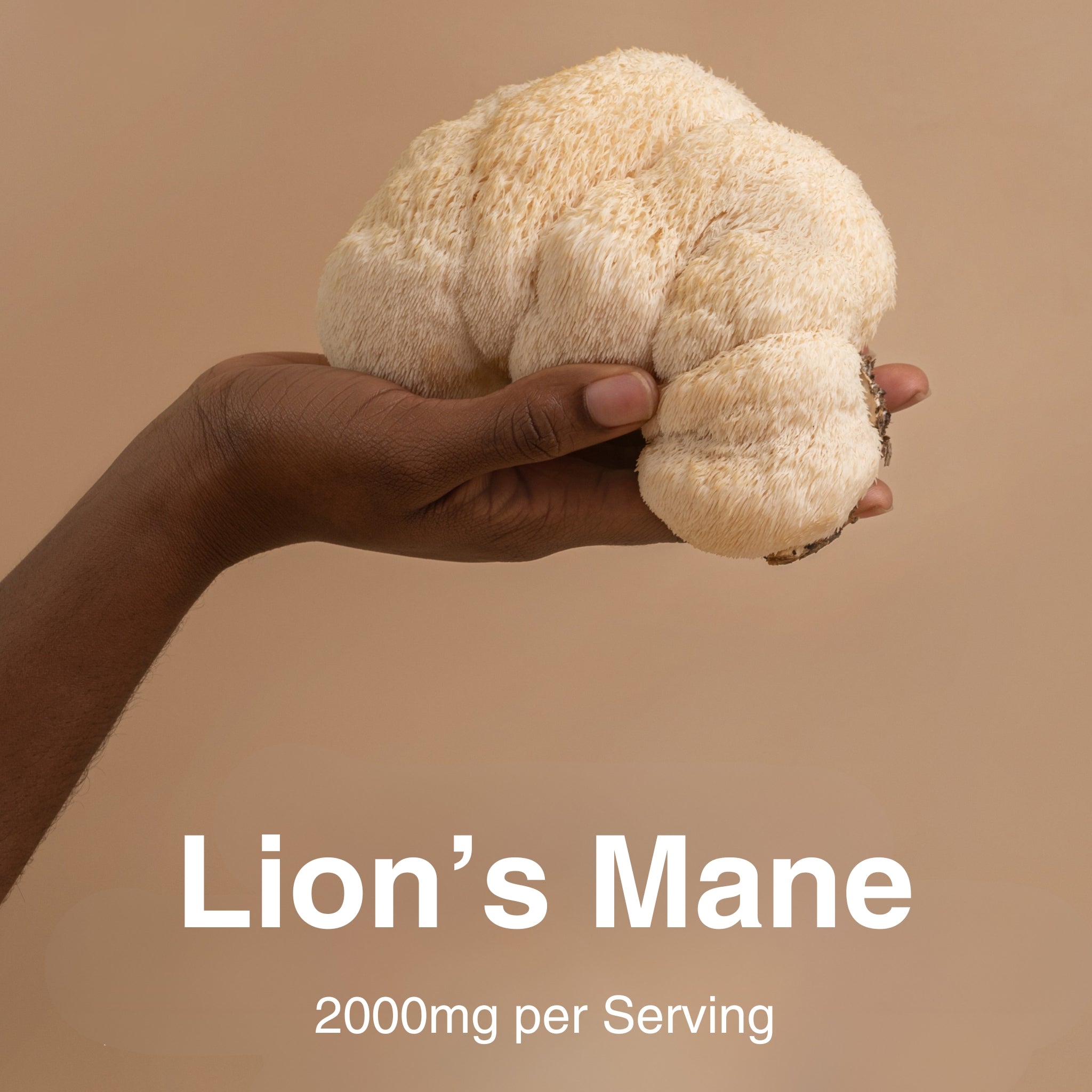 _cog: 3 Mushroom Extract Blend