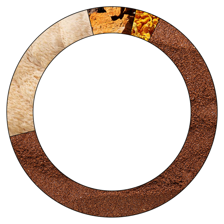 Cognitive Coffee