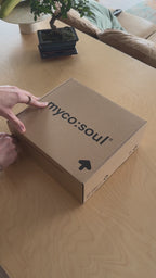 Organic Mushroom Coffee (Ground)